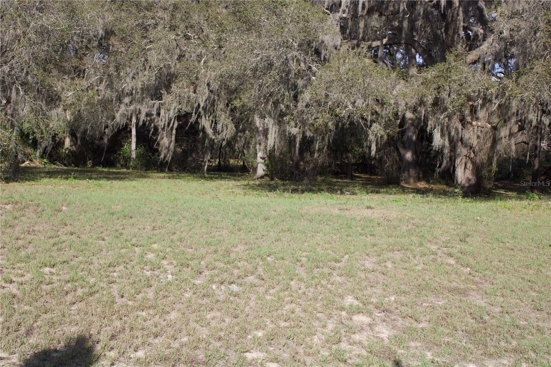 Silent Ridge Drive Tavares FL 32778