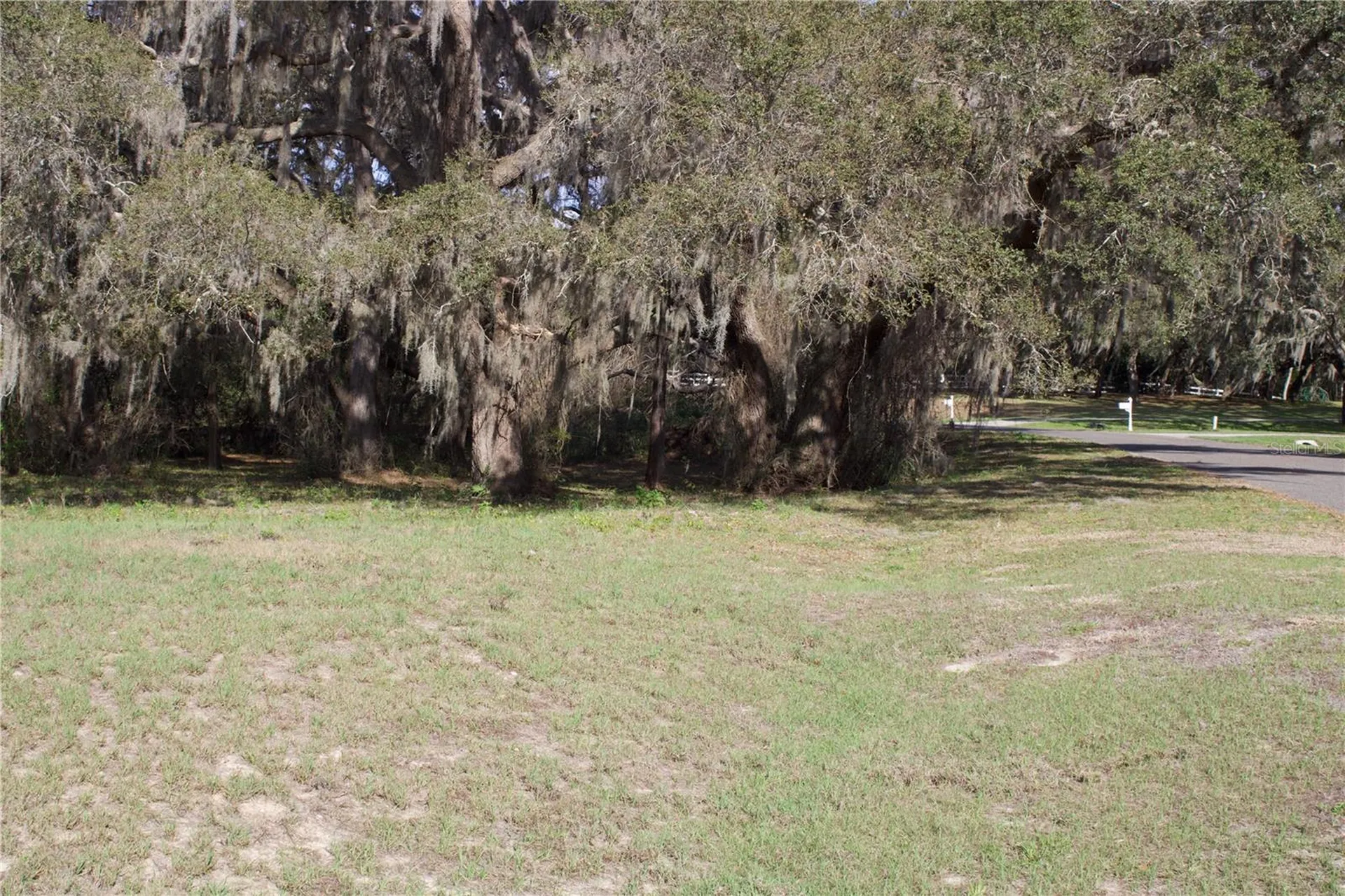 Silent Ridge Drive Tavares FL 32778