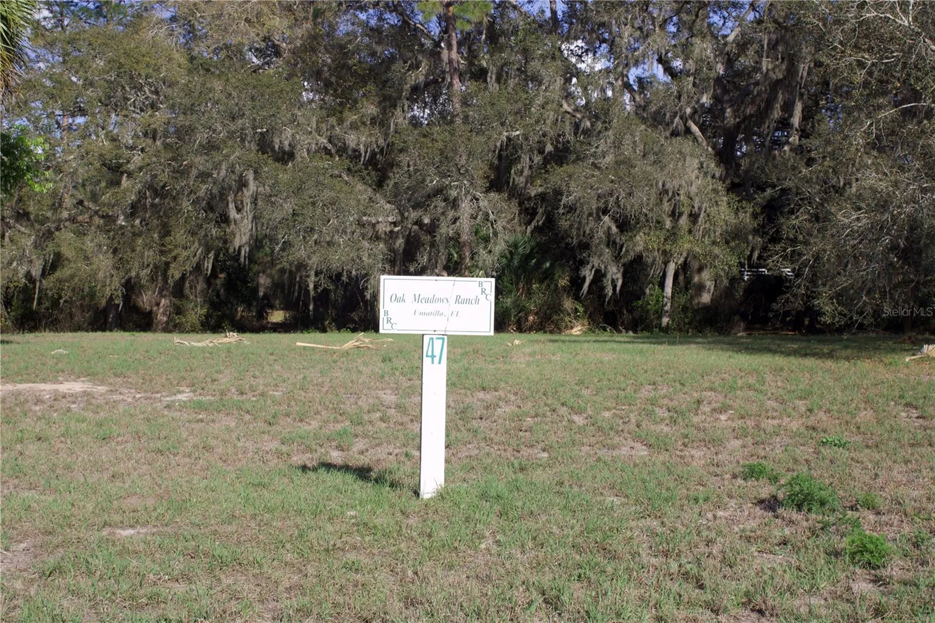 Silent Ridge Drive Tavares FL 32778