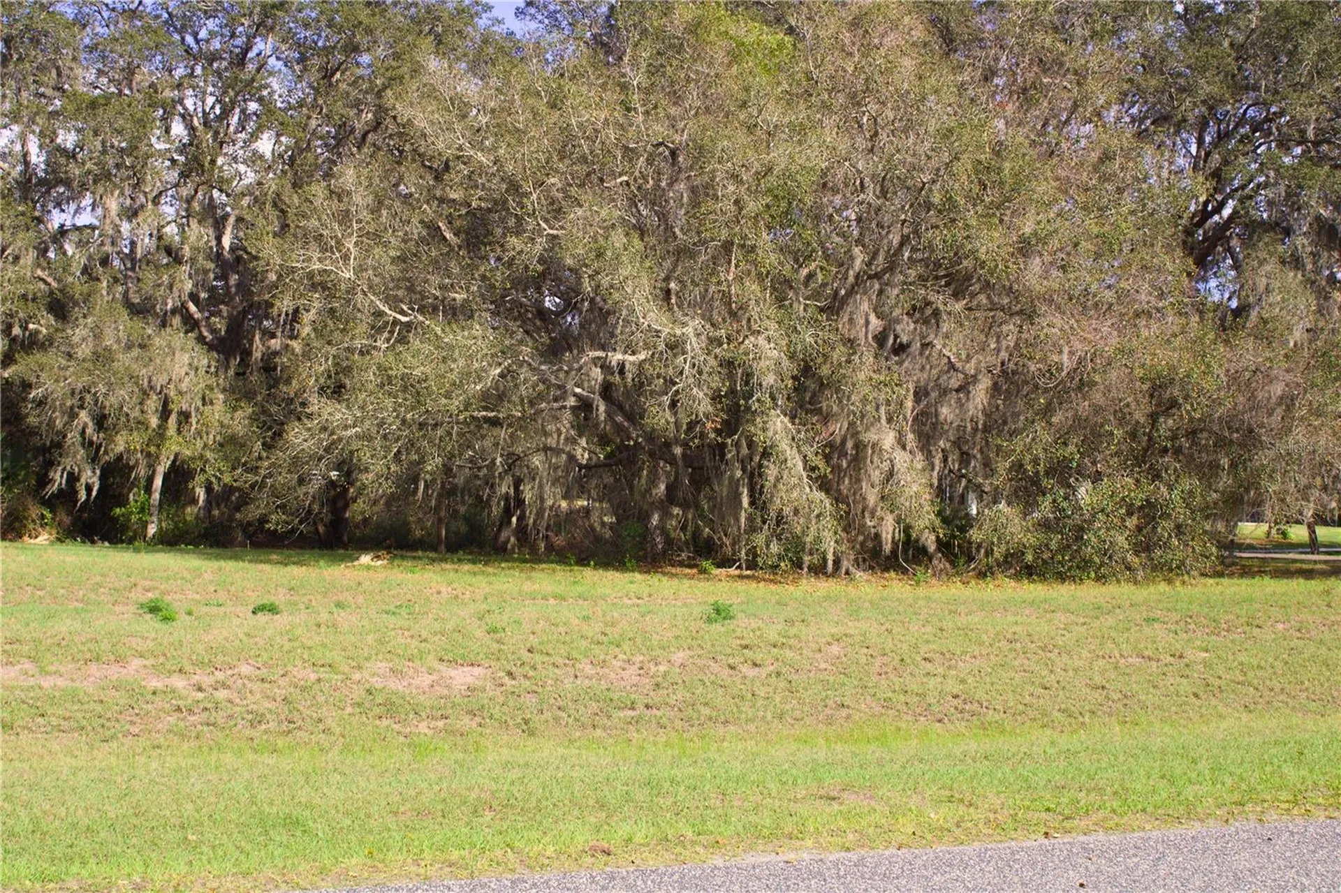 Silent Ridge Drive Tavares FL 32778