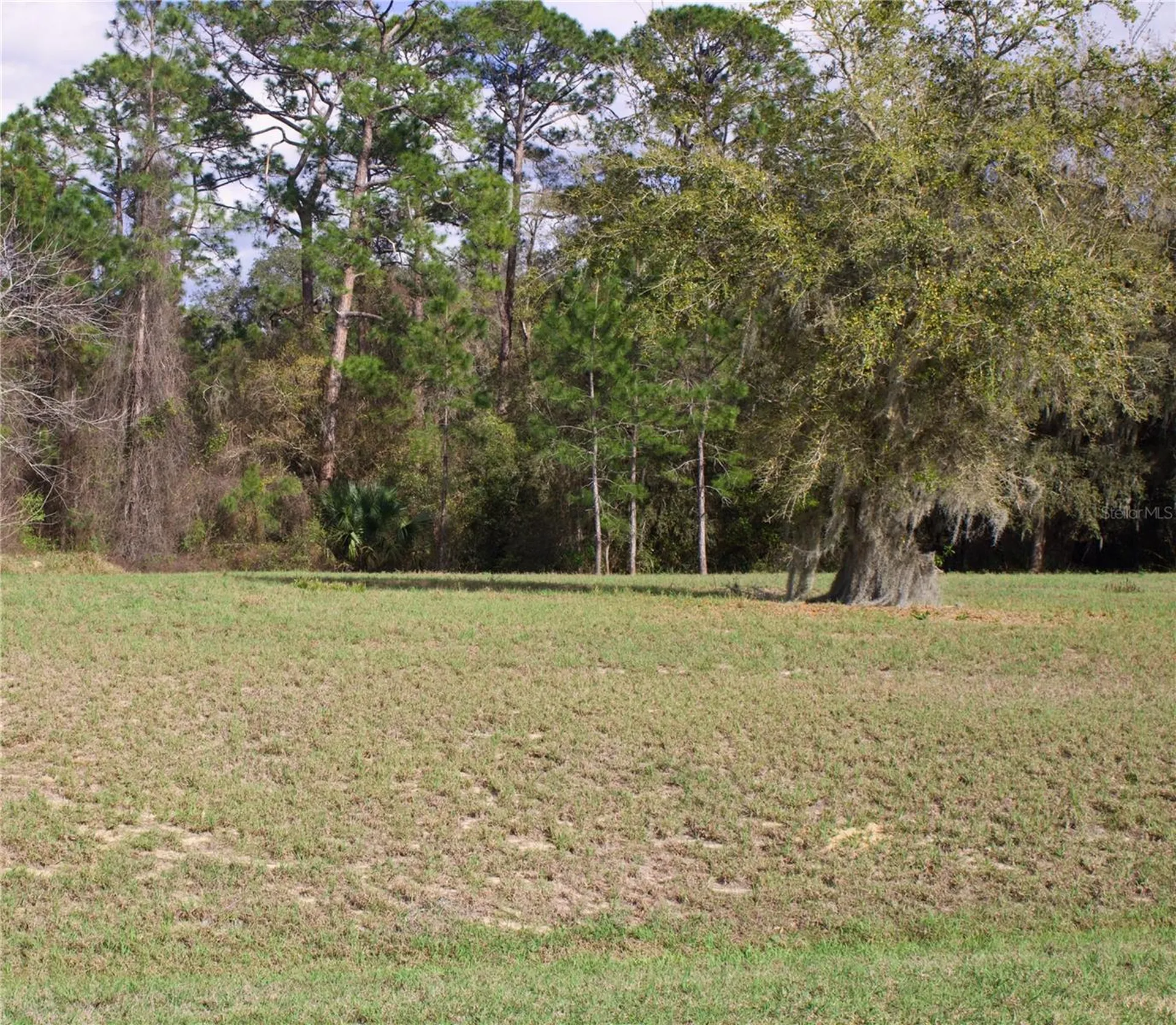 Silent Ridge Drive Tavares FL 32778