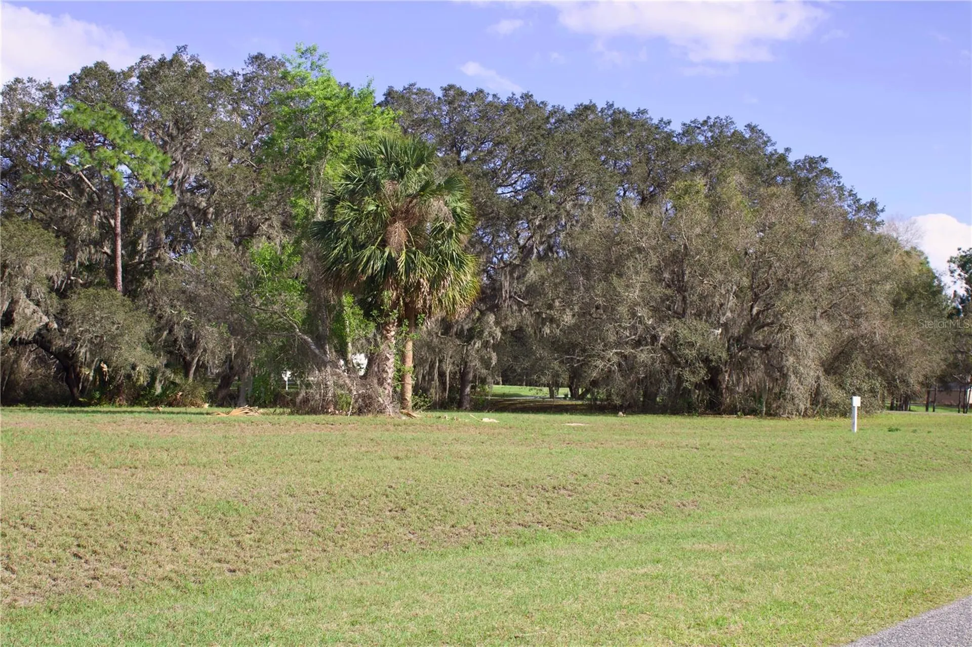 Silent Ridge Drive Tavares FL 32778