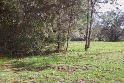 Silent Ridge Drive Tavares FL 32778