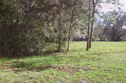 Silent Ridge Drive Tavares FL 32778