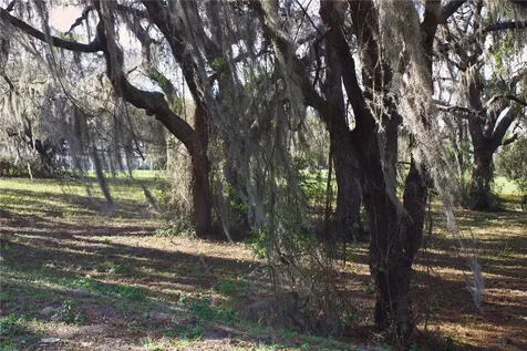 Silent Ridge Drive Tavares FL 32778