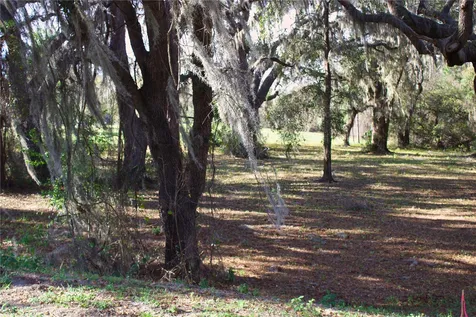 Silent Ridge Drive Tavares FL 32778
