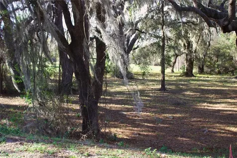 Silent Ridge Drive Tavares FL 32778