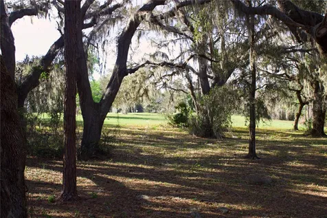 Silent Ridge Drive Tavares FL 32778
