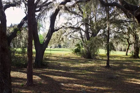 Silent Ridge Drive Tavares FL 32778