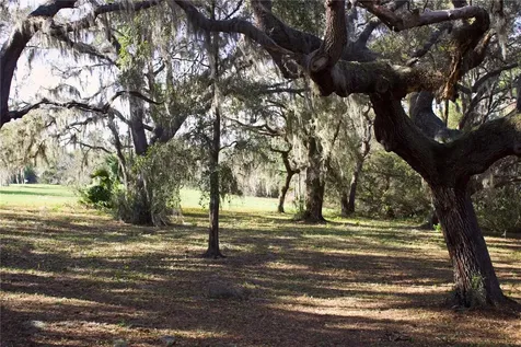Silent Ridge Drive Tavares FL 32778