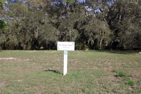 Silent Ridge Drive Tavares FL 32778