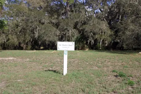 Silent Ridge Drive Tavares FL 32778