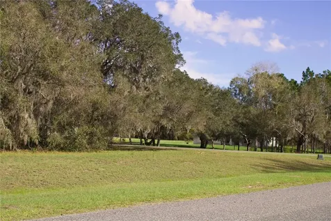Silent Ridge Drive Tavares FL 32778