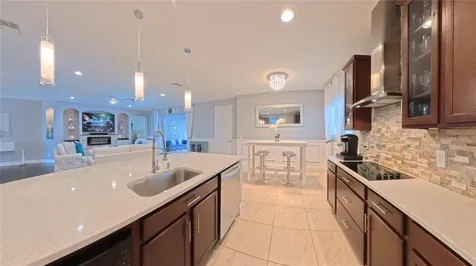 703 Calabria Way Howey In The Hills FL 34737