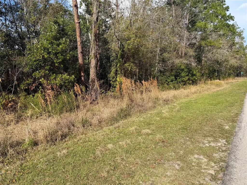 8824 Sun N Lake Boulevard Sebring FL 33872
