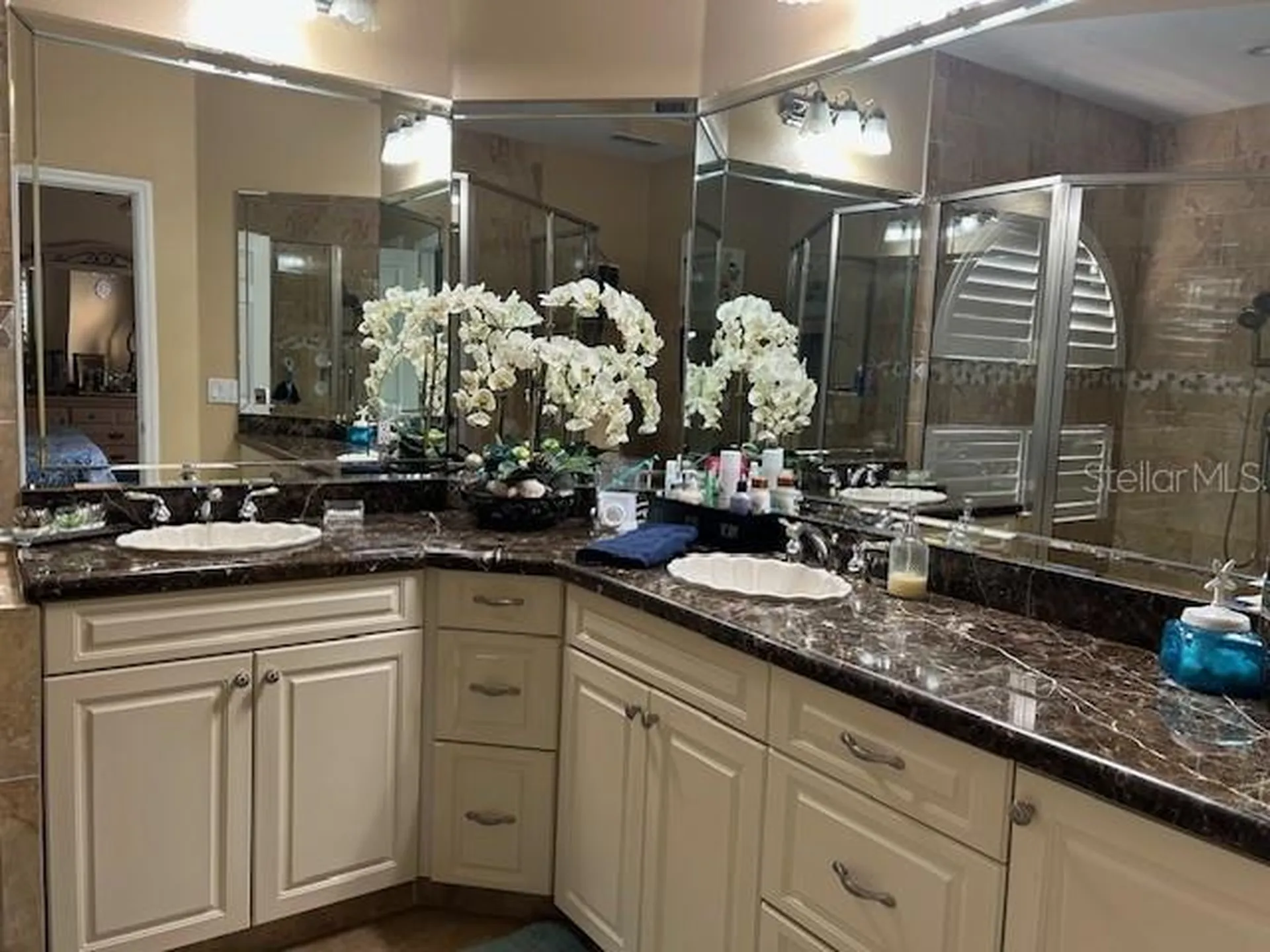 1308 Lake Willisara Circle Orlando FL 32806