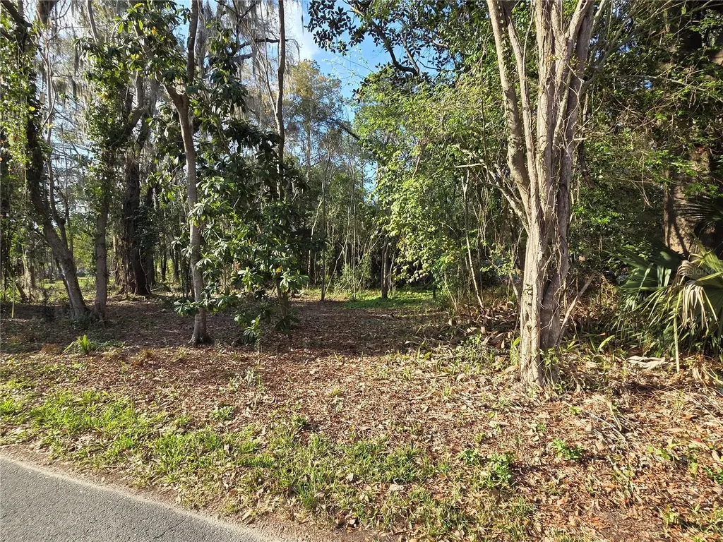 214 NE 13th Avenue Gainesville FL 32601