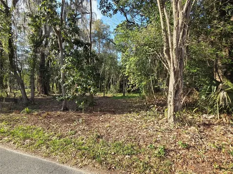 214 NE 13th Avenue Gainesville FL 32601