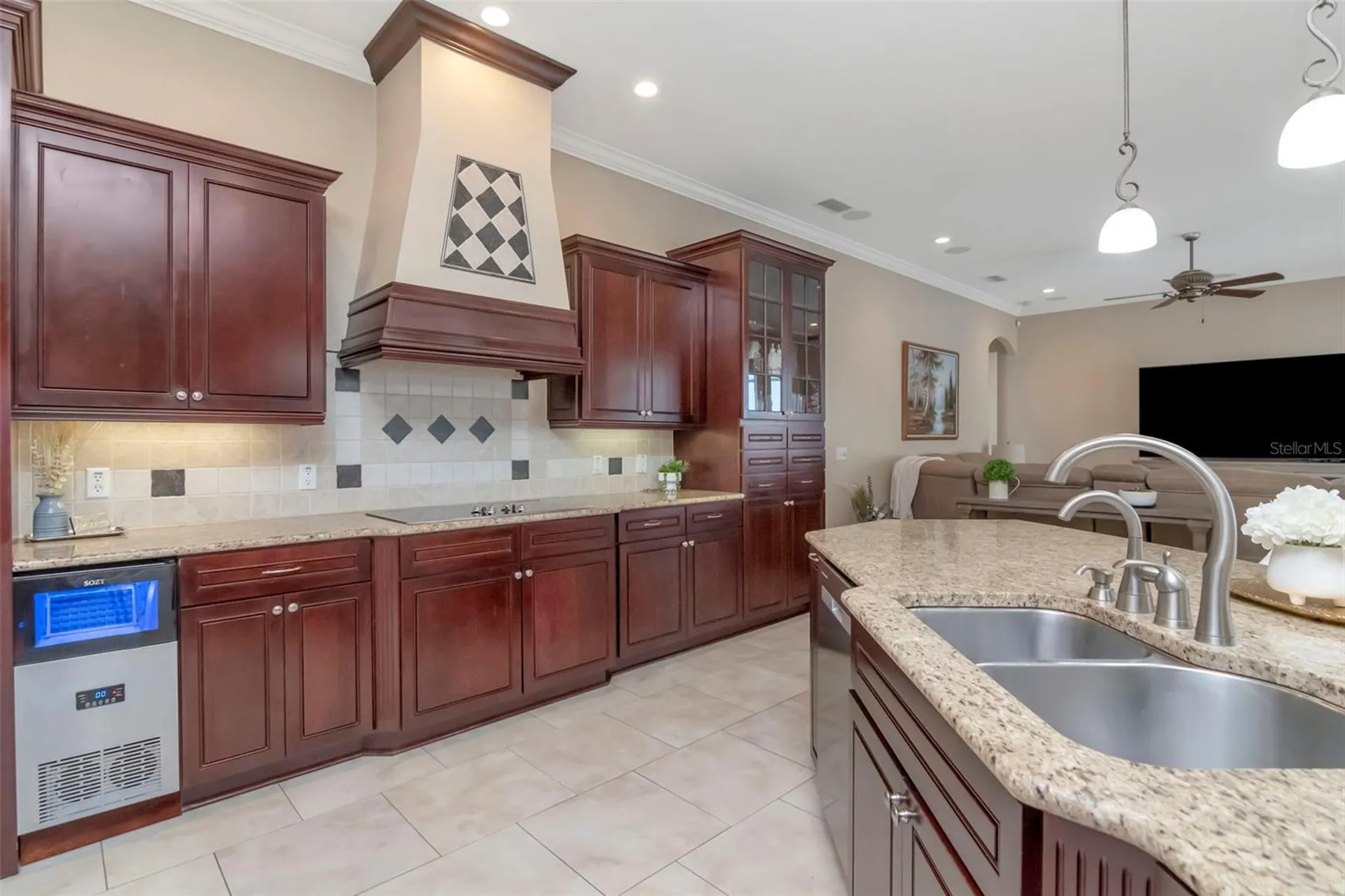 1022 Emerald Creek Drive Valrico FL 33596