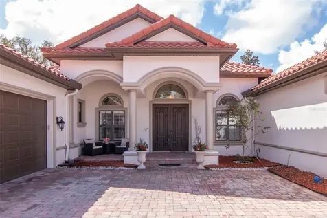 1022 Emerald Creek Drive Valrico FL 33596