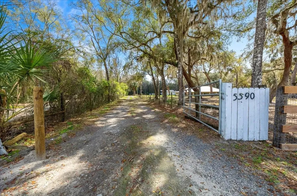 5590 E Highway 316 Citra FL 32113