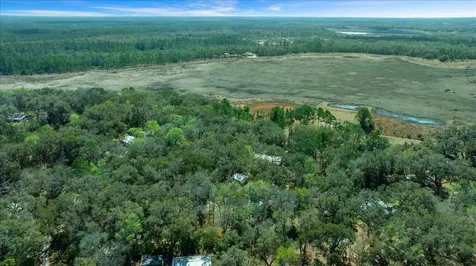 5590 E Highway 316 Citra FL 32113