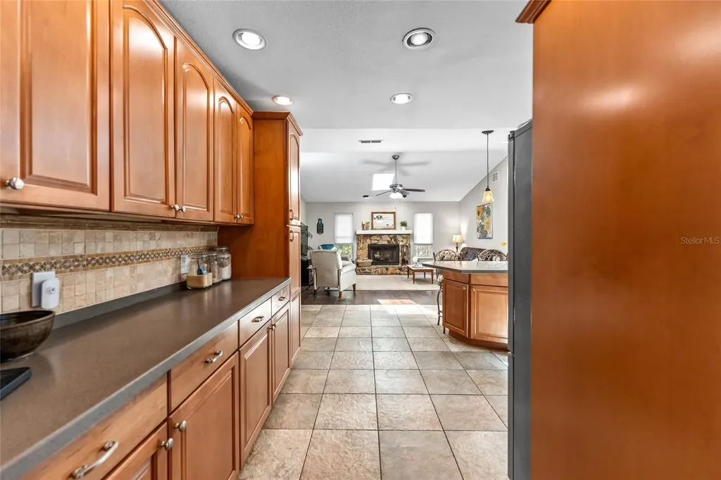 1811 La Grande Drive Dunedin FL 34698