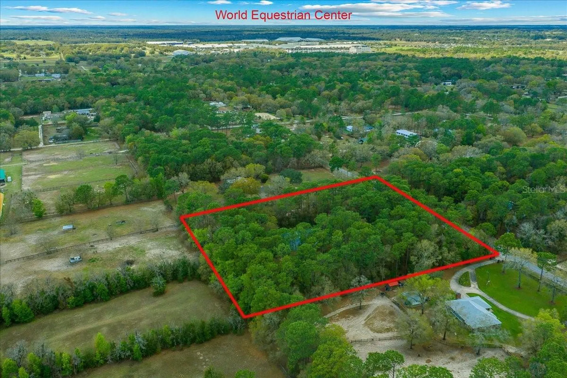 7184 NW 8th Place Ocala FL 34482