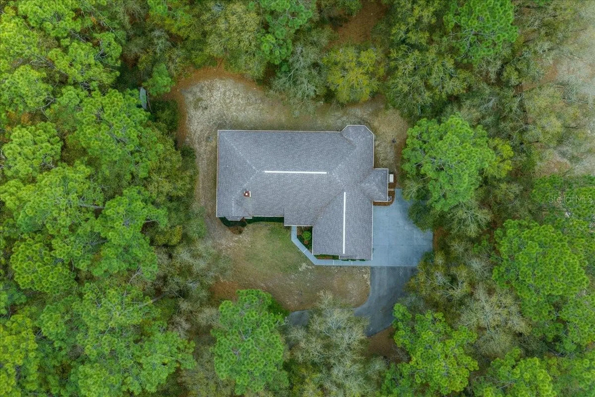 7184 NW 8th Place Ocala FL 34482
