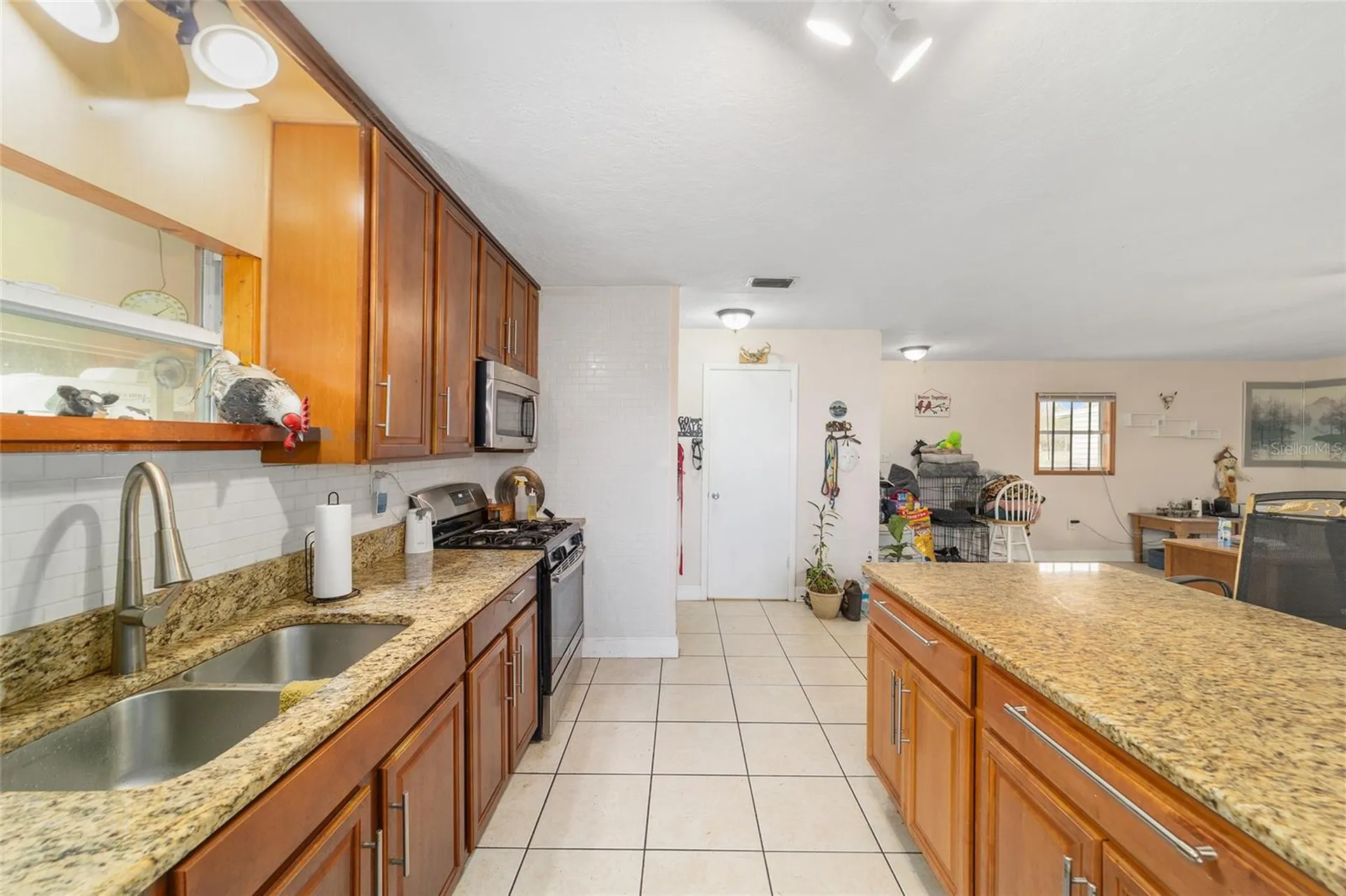 12620 SE Maricamp Road Ocklawaha FL 32179