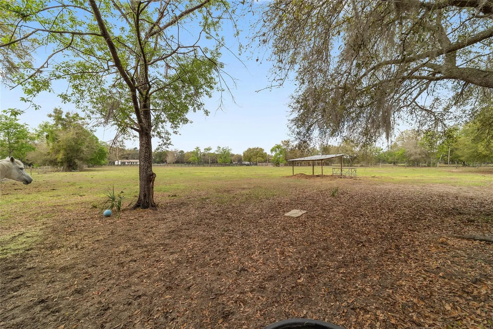 12620 SE Maricamp Road Ocklawaha FL 32179