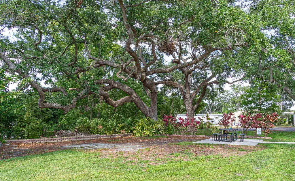 38 Deer Trail Court Safety Harbor FL 34695