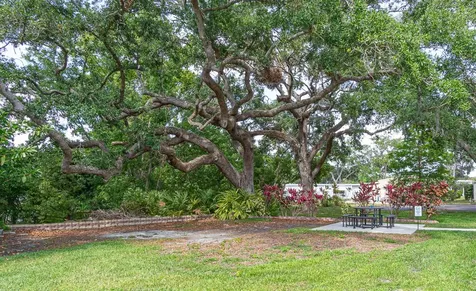 38 Deer Trail Court Safety Harbor FL 34695