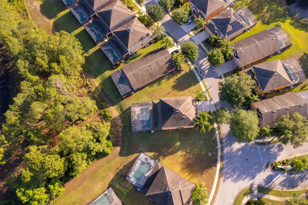 906 Orange Cosmos Boulevard Davenport FL 33837