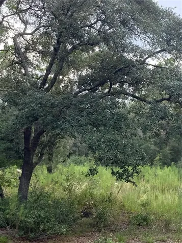 Tbd SW 54th Street Dunnellon FL 34431