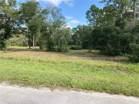Tbd SW 54th Street Dunnellon FL 34431