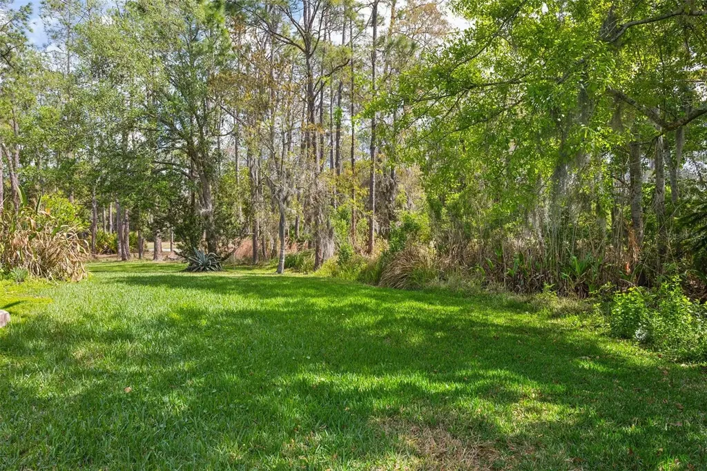 5246 Braddock Drive Zephyrhills FL 33541