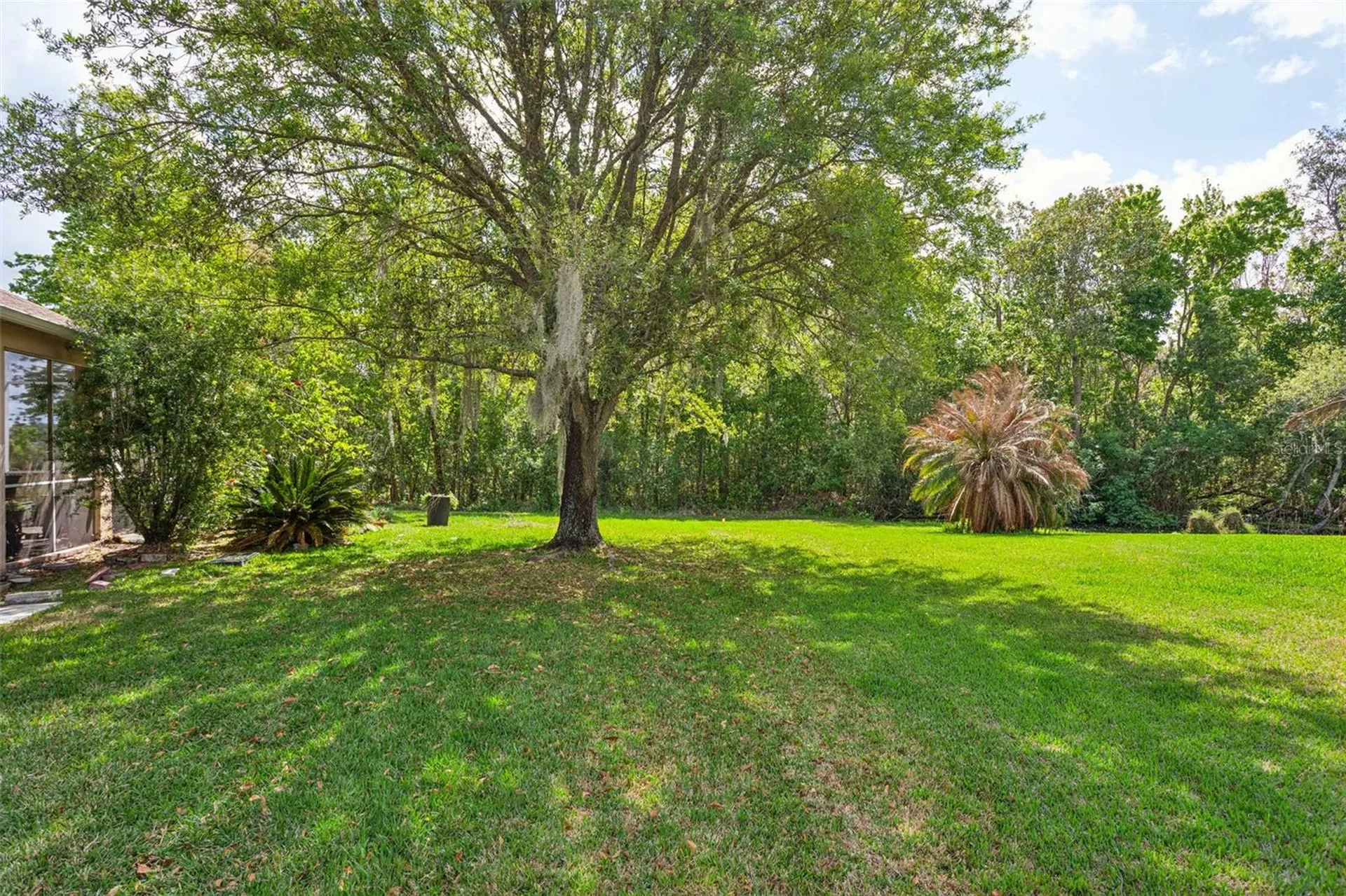 5246 Braddock Drive Zephyrhills FL 33541