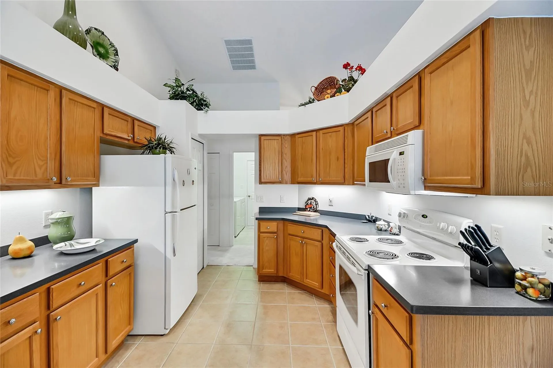 24128 Robinwood Street Leesburg FL 34748