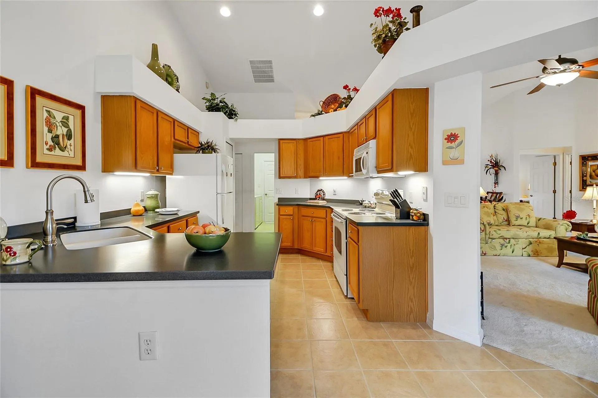 24128 Robinwood Street Leesburg FL 34748