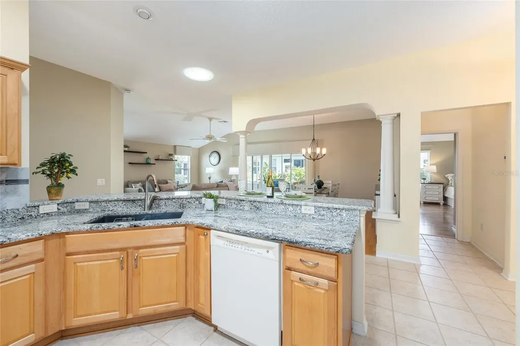 1253 Greenville Way The Villages FL 32162
