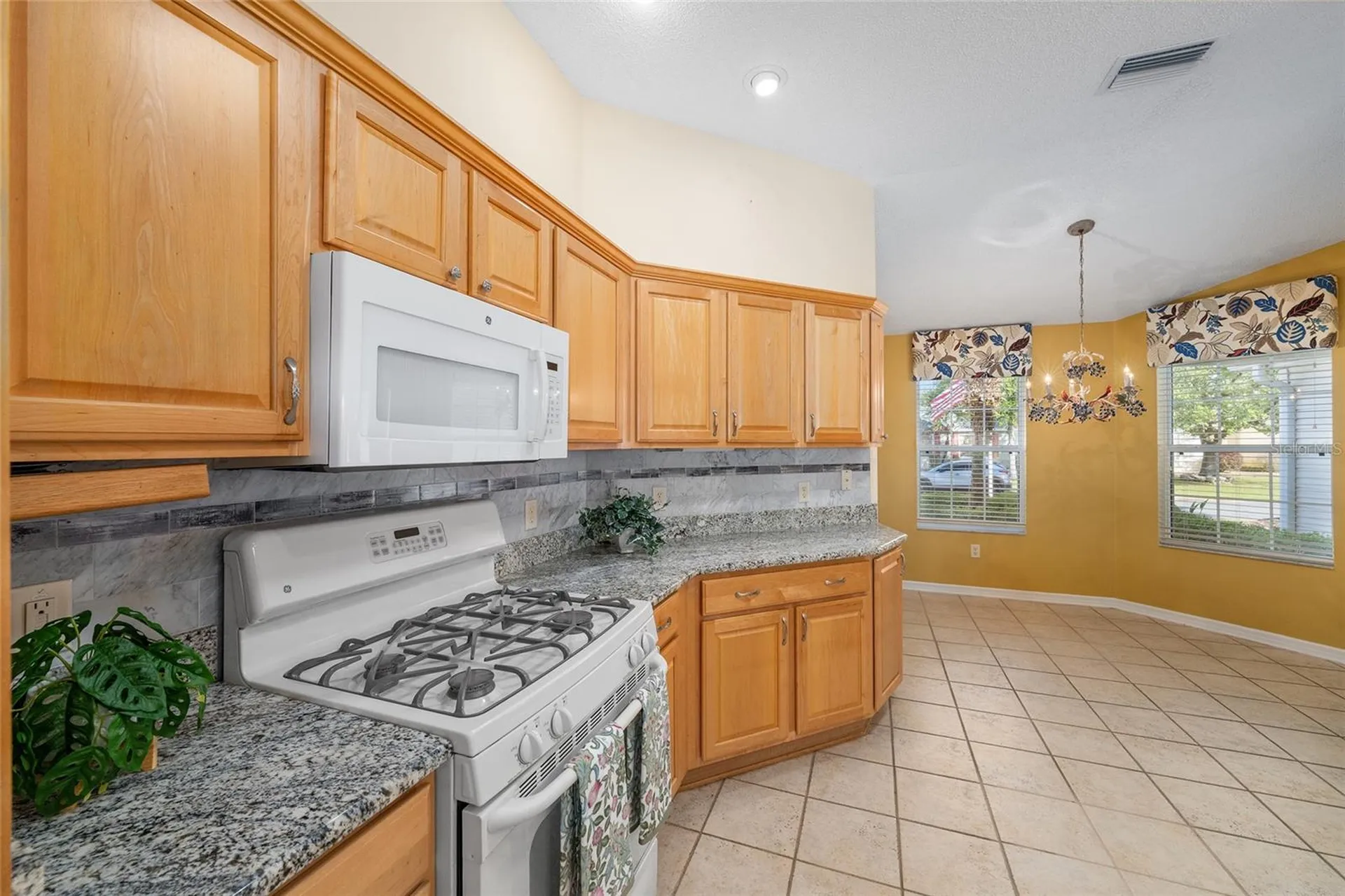 1253 Greenville Way The Villages FL 32162