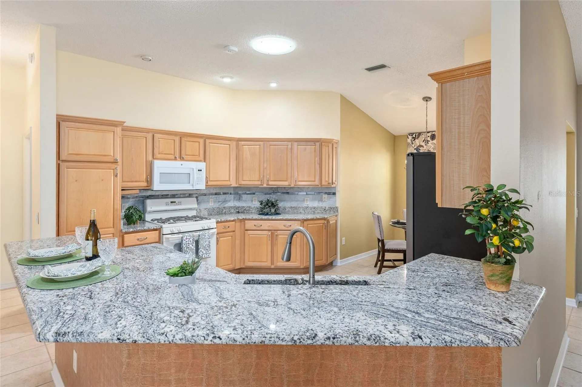 1253 Greenville Way The Villages FL 32162