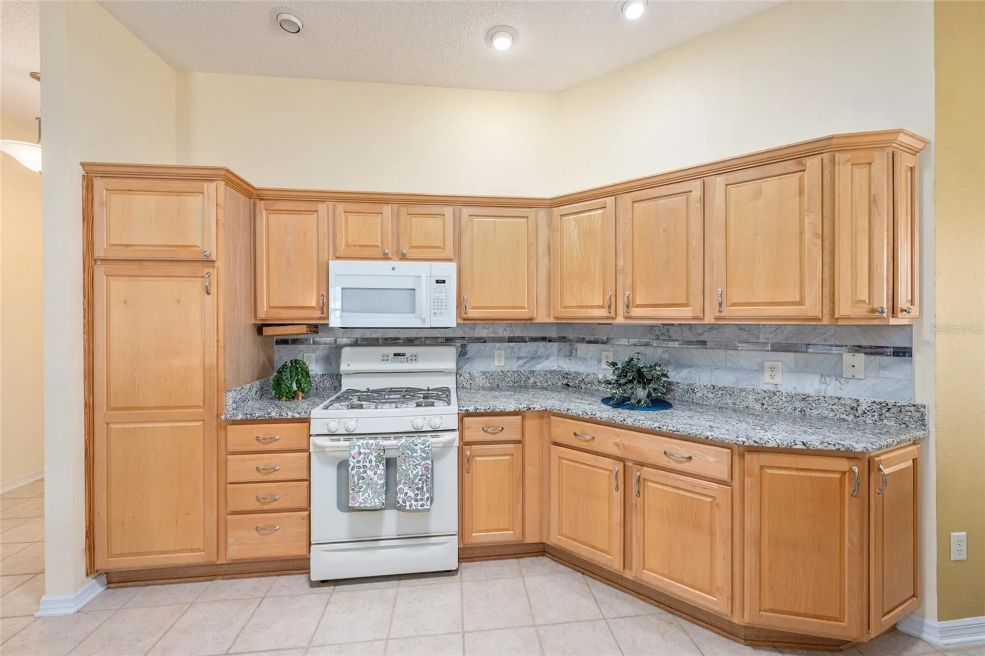 1253 Greenville Way The Villages FL 32162