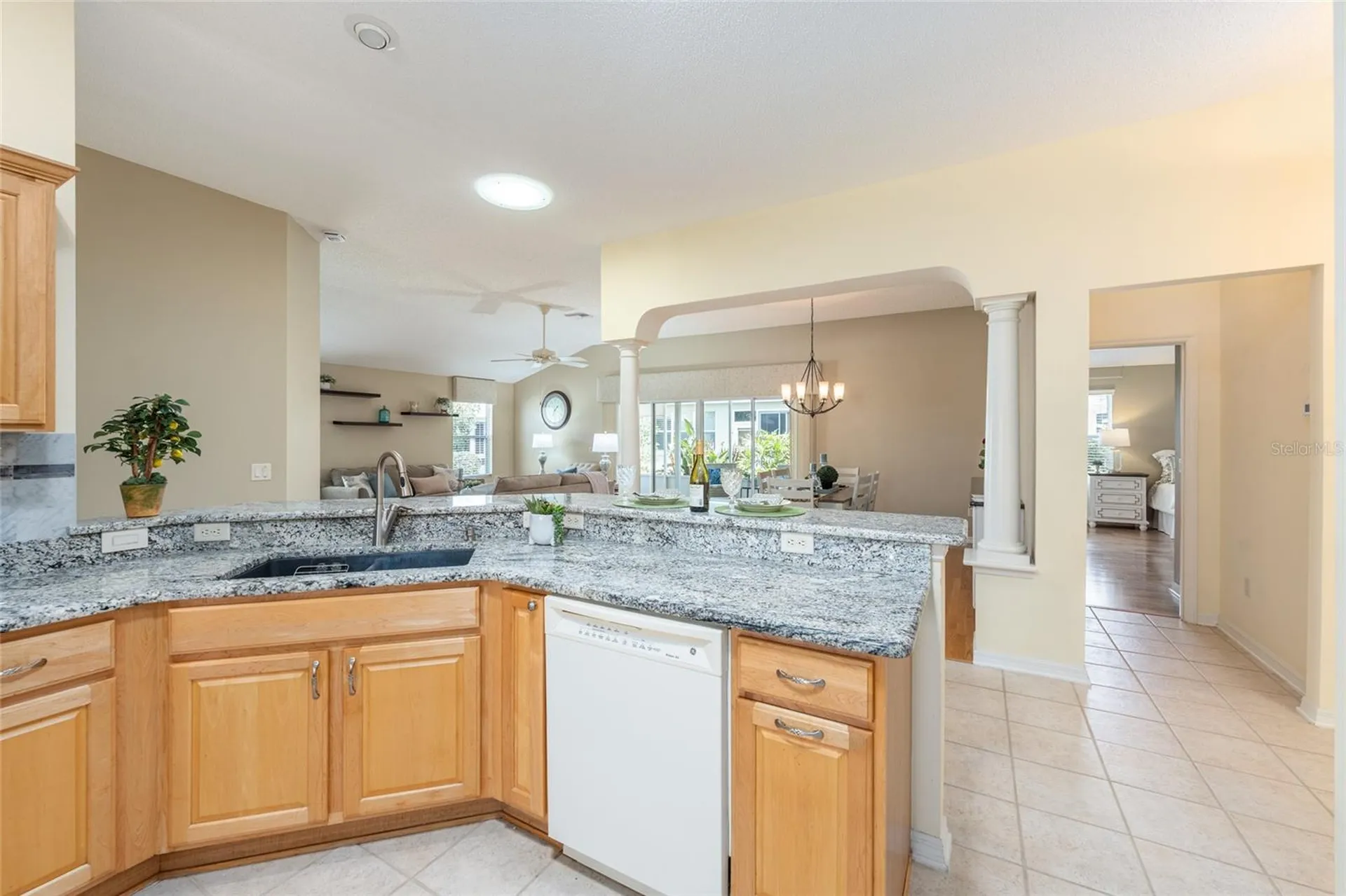 1253 Greenville Way The Villages FL 32162