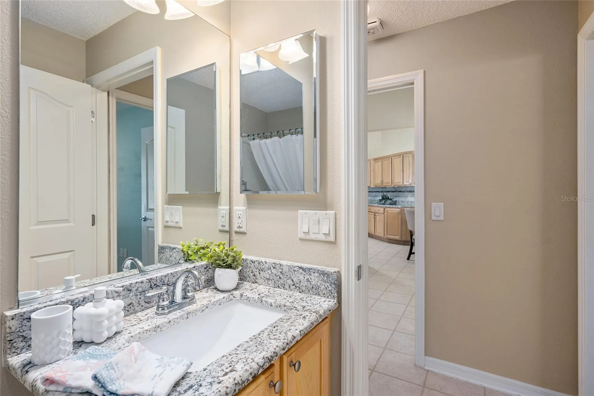 1253 Greenville Way The Villages FL 32162