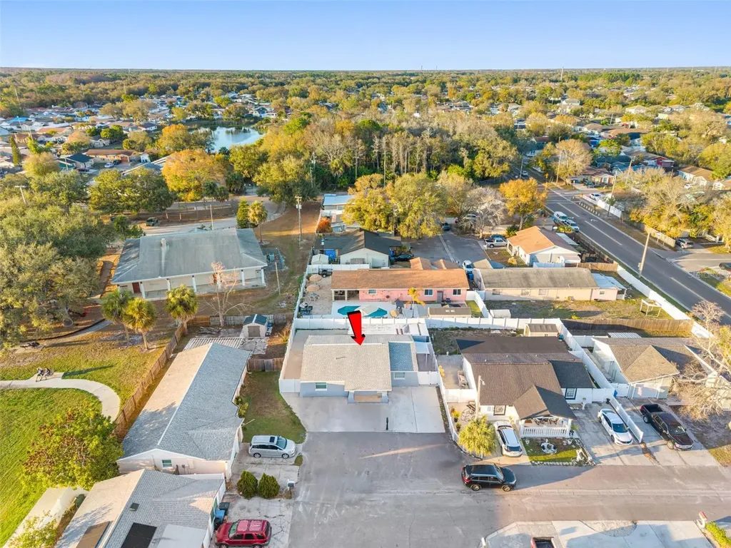 10113 Royal Acres Court Tampa FL 33615