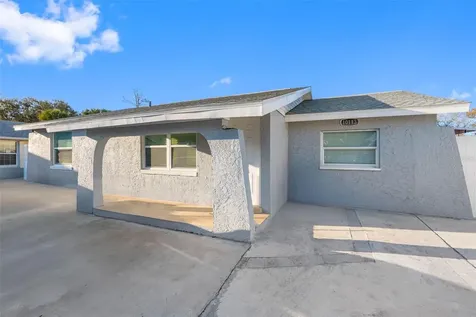 10113 Royal Acres Court Tampa FL 33615