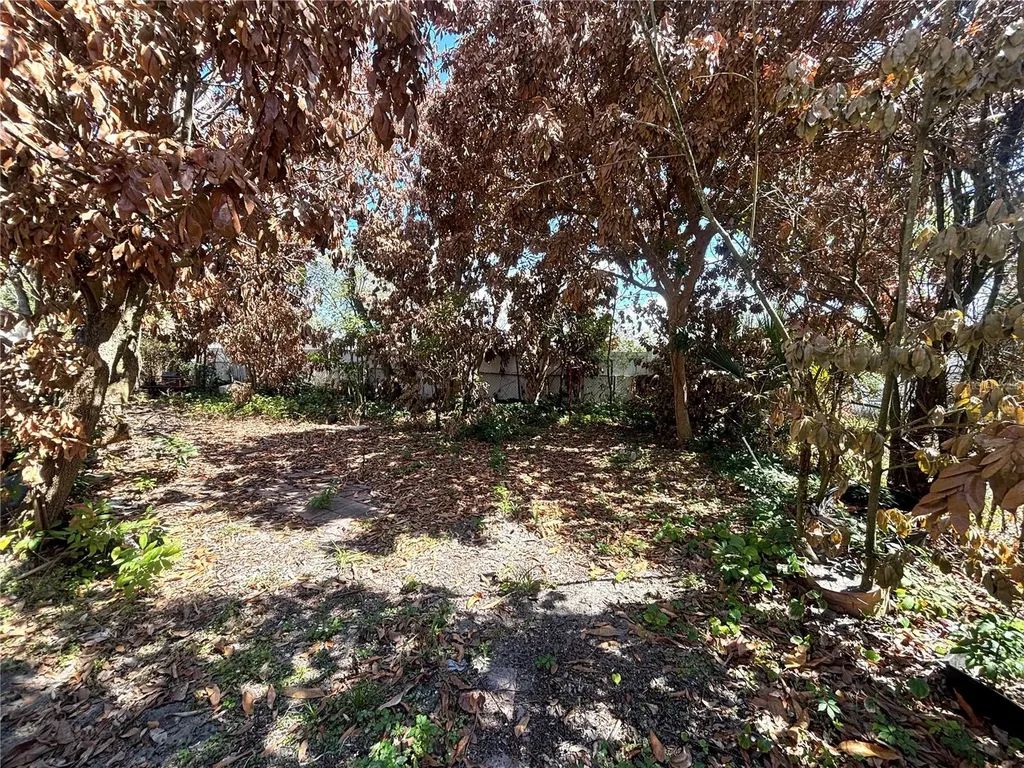 531 Carlisle Avenue Altamonte Springs FL 32714