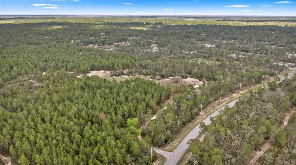 4559 W Dunklin Street Dunnellon FL 34433